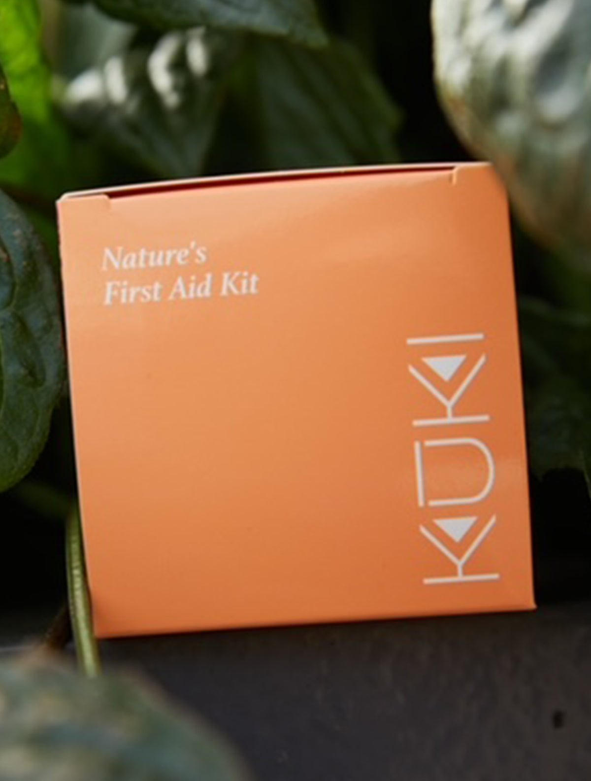 Ginger and Turmeric Balm - KUKI SAMOA v2
